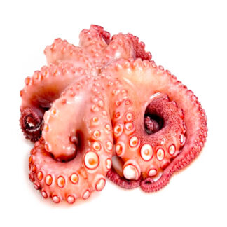 Pulpo Crudo al Vacío 1 Kg