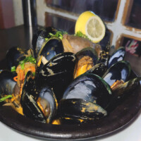 Choro Maltón Choro Maltón