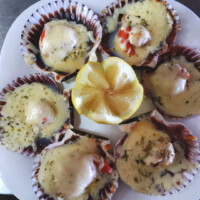 Ostiones Palmesana Ostiones Palmesana